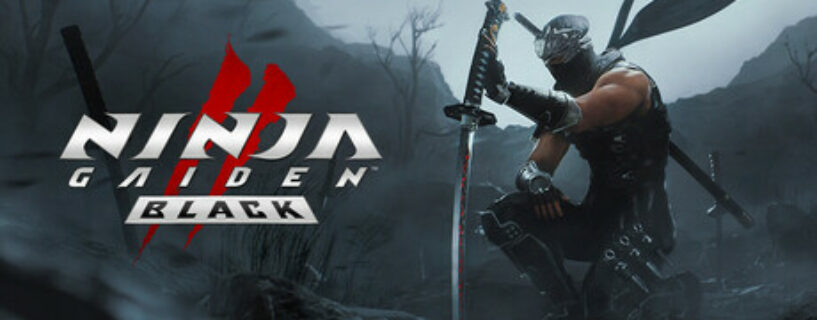 NINJA GAIDEN 2 Black Español Pc