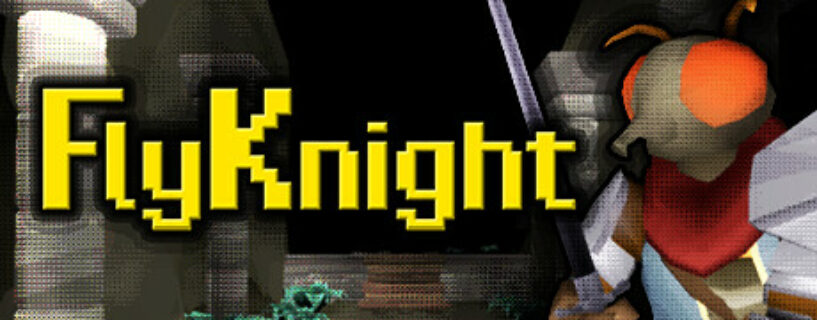 FlyKnight Pc